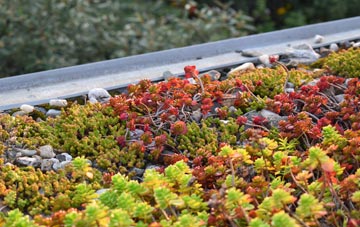 the cost of Haseley Knob green roof installation