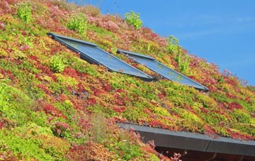 Haseley Knob living roof systems